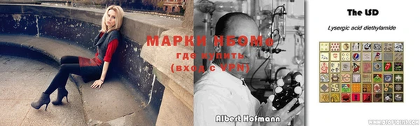 крисы Белокуриха