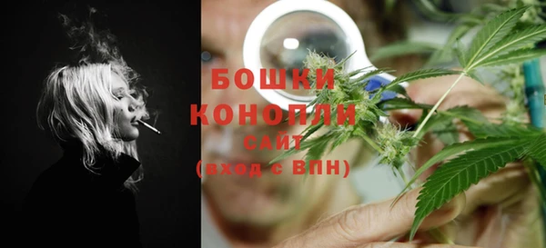 стаф Новый Уренгой