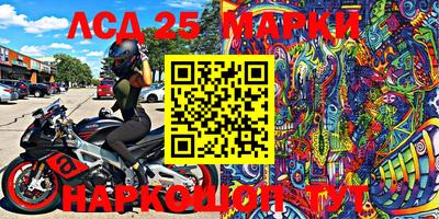 гидра Аргун