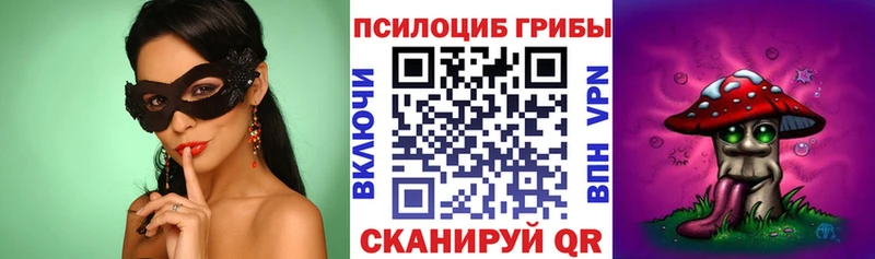 сколько стоит  Белорецк  Галлюциногенные грибы прущие грибы 
