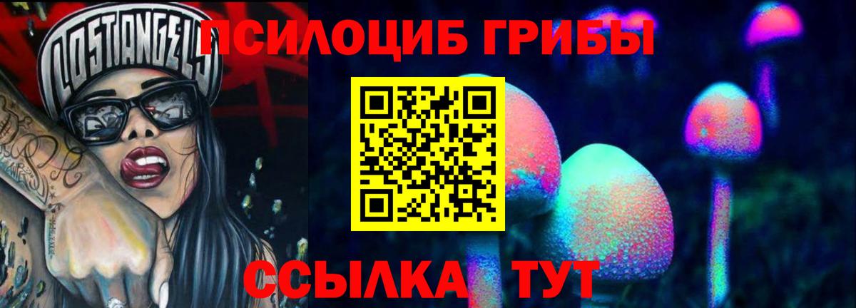 Белорецк  Псилоцибиновые грибы Psilocybine cubensis  Вход с VPN  Псилоцибиновые грибы GOLDEN TEACHER 